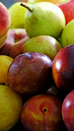 میوه های تابستانه